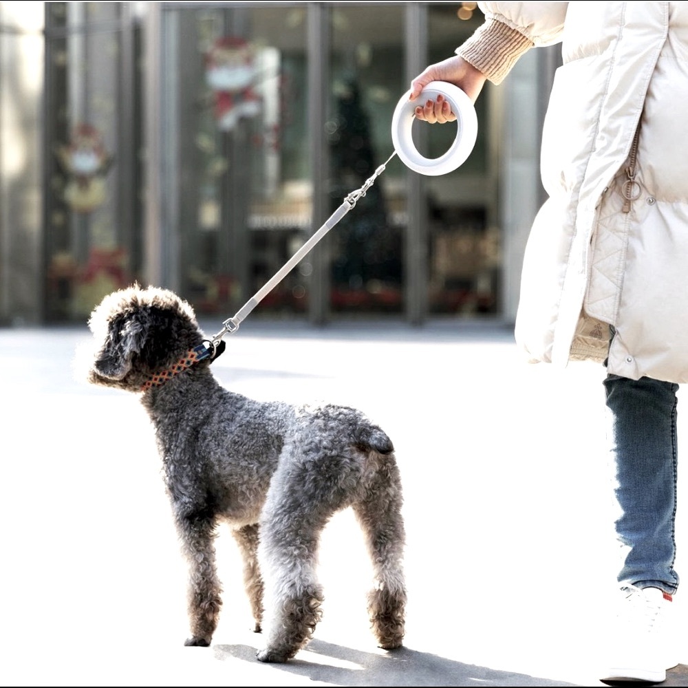 UFO Retractable Leash - Smart Version